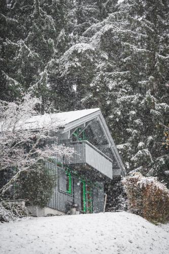 ทัศนียภาพภายนอกโรงแรม, Bregenzerwald Ferienhaus in เอกก์