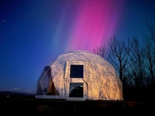 Aurora Dome on the South Coast - Apartment - Hvolsvöllur