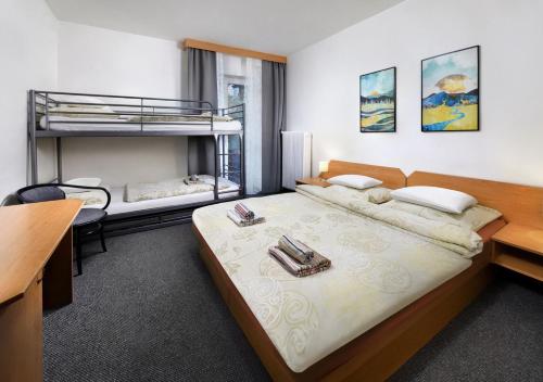 Hotel Liptov Room Type - Standard Double Room