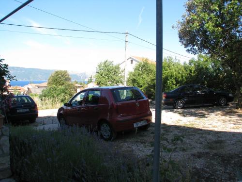 Apartments Srkoc