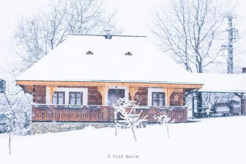 Cottage Vasile