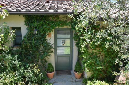 Bacco, Gaiole in Chianti (fotografie 8)