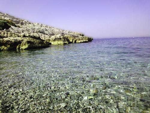 La Petite Calanque, Marsiglia (foto 7)