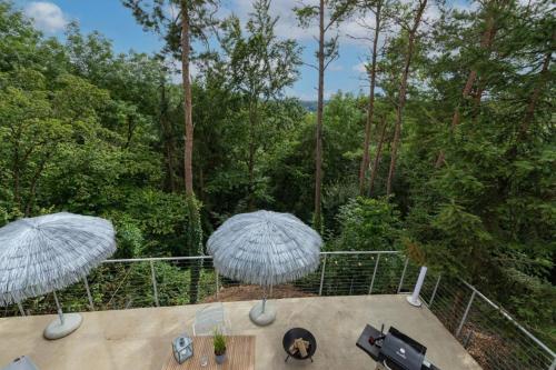 Freistehendes Ferienhaus Wald mit Kamin iin idyllischer Lage am Waldrand unterhalb eines Wellness-Hotels - image 12
