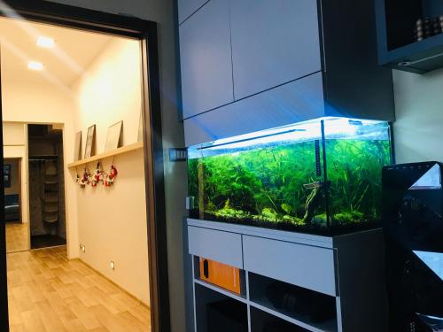 Facilities, Novy apartman v Ostrave u Misky s akvariem a vyhledem z balkonu na Beskydy in Svinov