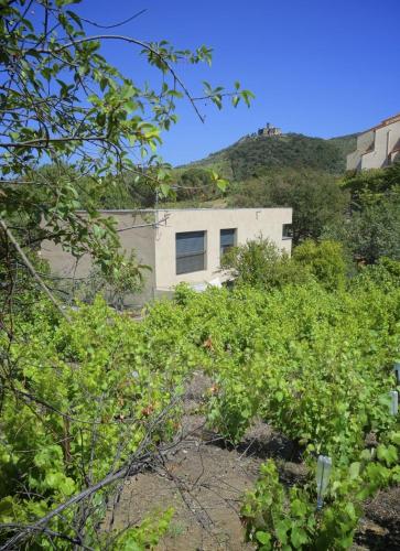 Apartment with Garden View