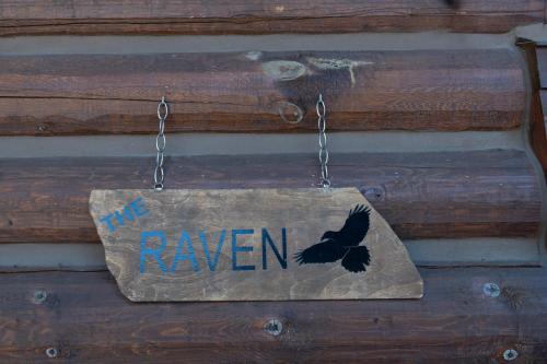 Raven photo 2