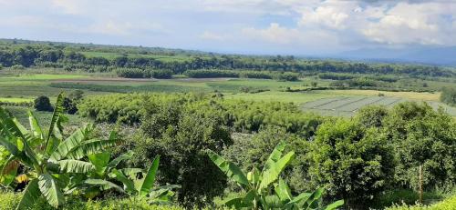 Finca Maratón Alto