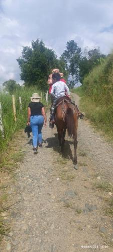 Finca Maratón Alto