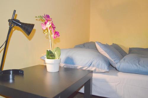 Guest accommodation in Budapest 