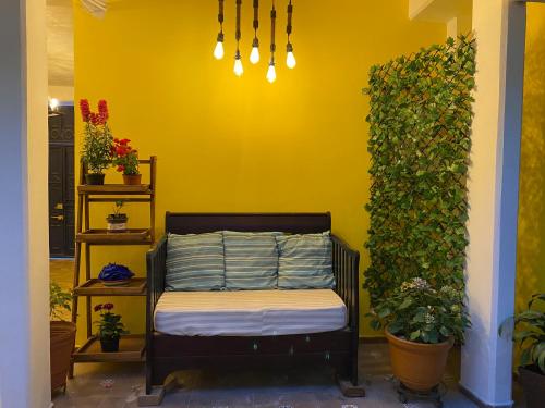 Casa Meraki in Ixmiquilpan, Mexico