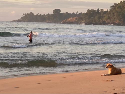 Talalla Bay Beach