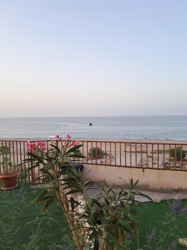 Alshumukh guesthouse in Tiwi