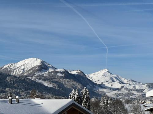 Chalet Panoramablick - Hochfilzen