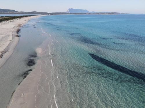  Iss Travel, Apartments in Via Torino - 800 m from La Cinta beach in San Teodoro