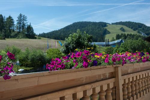 Alrededores, Das Edelweiss in Seefeld