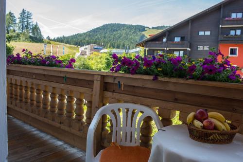 Vistas, Das Edelweiss in Seefeld