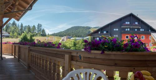Vistas, Das Edelweiss in Seefeld
