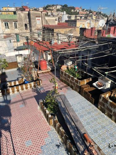 Lemon Tree Terrace, Neapel (Foto 7)