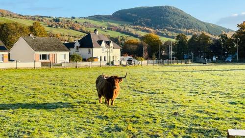 Stylish Garden Flat Near Loch Ness - Perfect Nessie Stopover