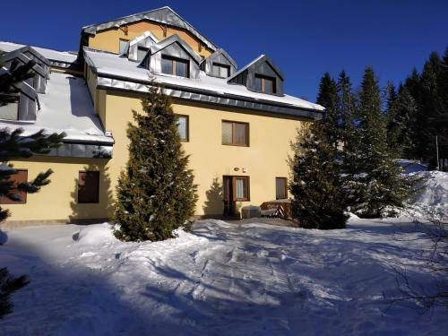 Tatran - Nika obrázok