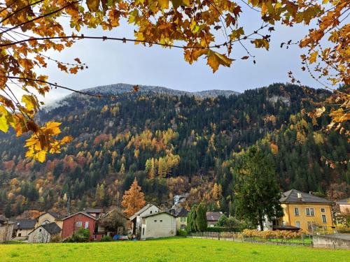  Casa Pineta - mountain atmosphere in the Leventina Valley in Faido