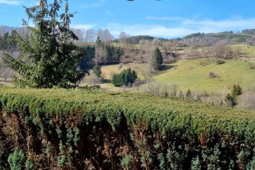 Ferienwohnung Aartalblick Willingen