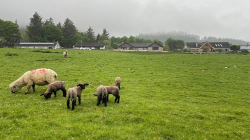 Hideaway Pod Near Loch Ness For A Tranquil Retreat