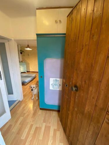 SpazioViola appartamento intimo boho style uno spazio magico per l'energia che si respira in un palazzo della vecchia Bologna Qui nulla è perfetto ma tutto racconta