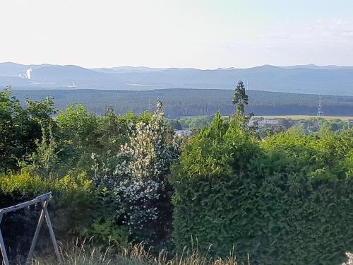 Apartment am Waldrand mit Fernblick in Hohe Wand