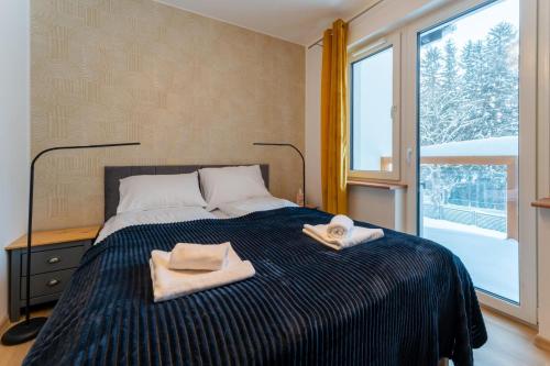 Apartament Reglowy Raj - z prywatnym parkingiem by SpaceApart, Szklarska Poręba (foto 6)