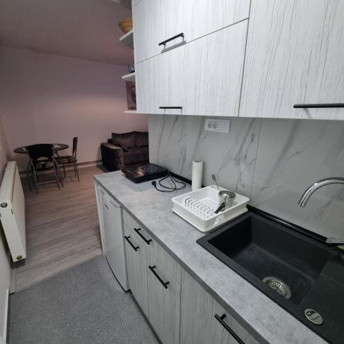 Smart Apartman in Bajina Bašta