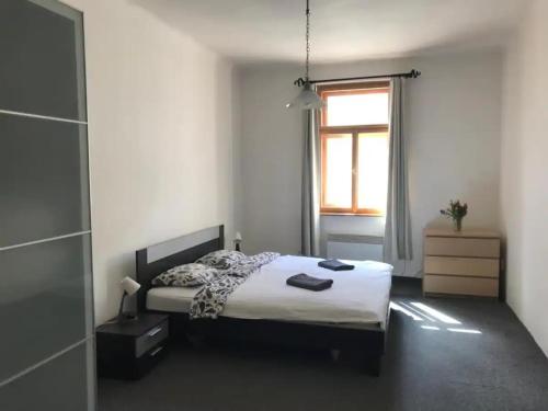 Big family apartment, Praha (fotografie 4)
