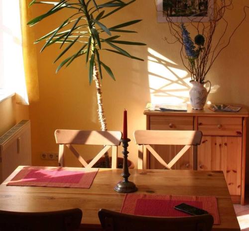 Ferienwohnungen Am Breitstrom - Apartment - Erfurt