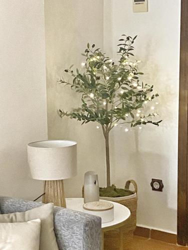 Santa Marina Suite Córdoba con Patio Andalusí, Córdoba (fotografie 8)