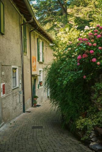 Suite 180° - Lago di Como, Blevio (foto 9)