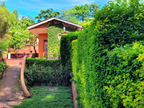 สวน, Babylon Lodge in มารังกู