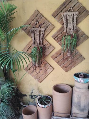 Búzios com Estilo - image 5
