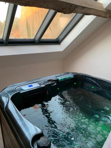 LE CLOS DES LYS - Chambres avec jacuzzi - Nemours in Poligny (Ile-de-France)