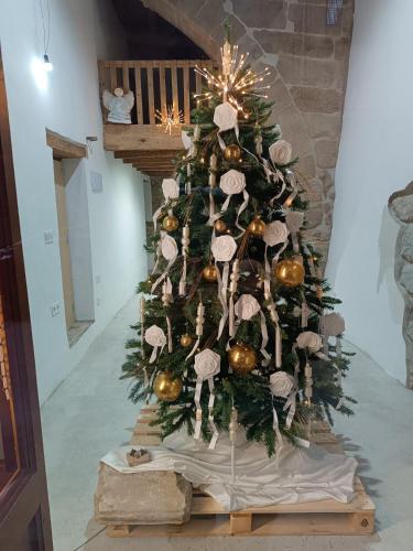 A szálláshely kívülről, Ca la Francisqueta, La Tina i el Deso Apartament amb encant a Solsona in Solsona