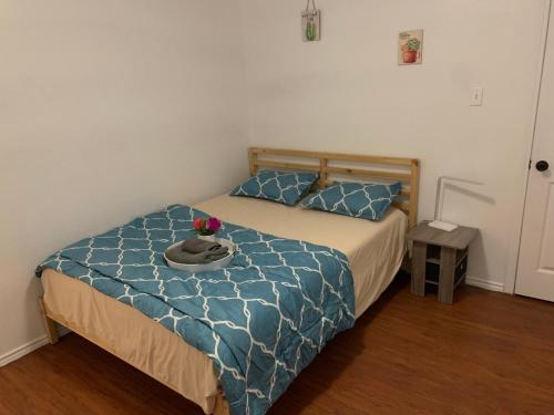 Private room near downtown Dallas2 in Dallas, USA