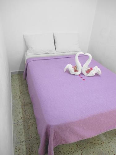 Margaritas Room Type - Large Double Room