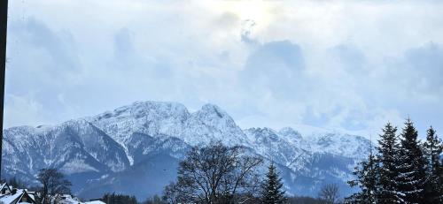 Studio with Mountain View room in VIP Apartamenty Zakopianskie