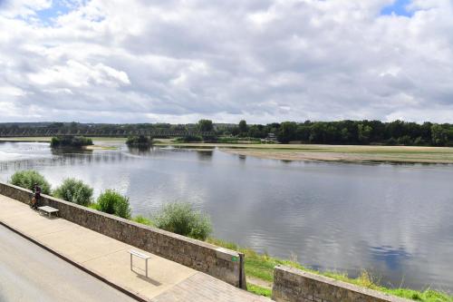 Les sternes de st Mathurin sur Loire , vue Loire - Location saisonnière - Loire-Authion