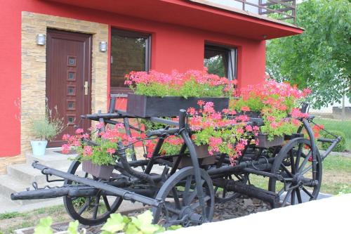 贝特里尔加勒利亚住宿加早餐旅馆