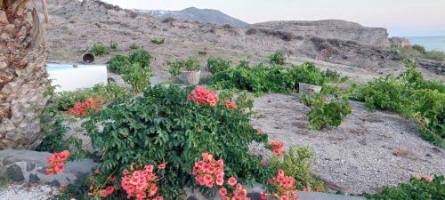 Α Peaceful Seafront Escape in Santorini- Sonus Mare - Tap to explore photos