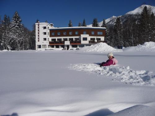 Hotel Berghof - image 11