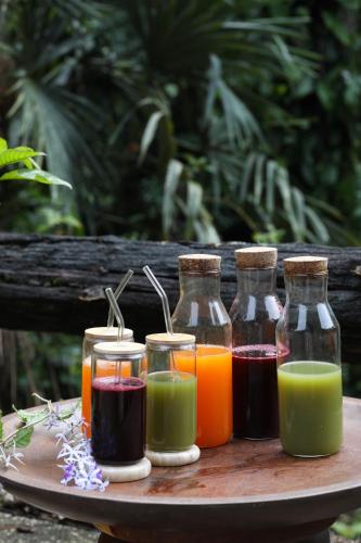 Jade Jungle Resort in Teakettle
