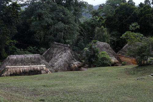 Jade Jungle Resort in Teakettle