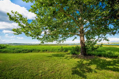 ROOM 04 - Lake Sumner - image 14